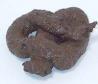 poop.jpg